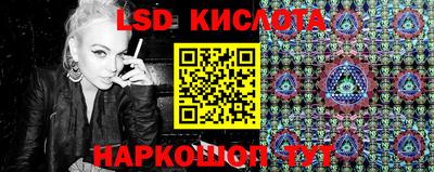 стаф Новодвинск