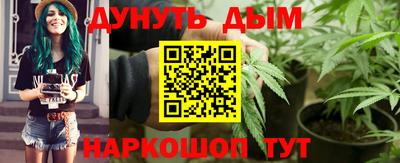 стаф Новодвинск