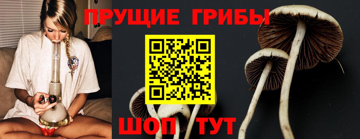Десногорск  Псилоцибиновые грибы прущие грибы  Вход с VPN  купить наркоту  Псилоцибиновые грибы прущие грибы 